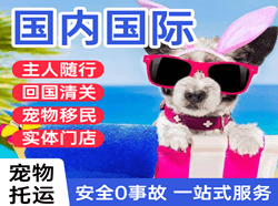 阿勒泰雪都航空空运国际宠物托运 【国